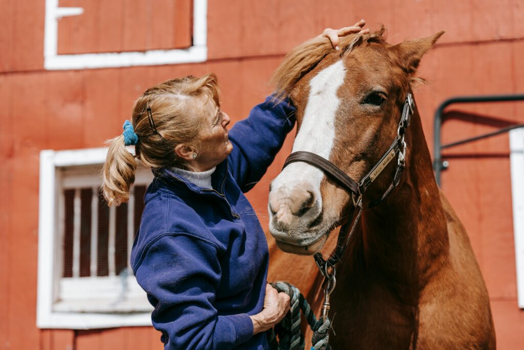 Woman petting a brown horse on the head